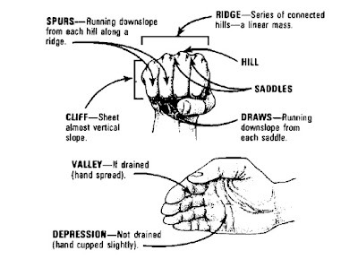 A diagram of hand gestures AI-generated content may be incorrect.