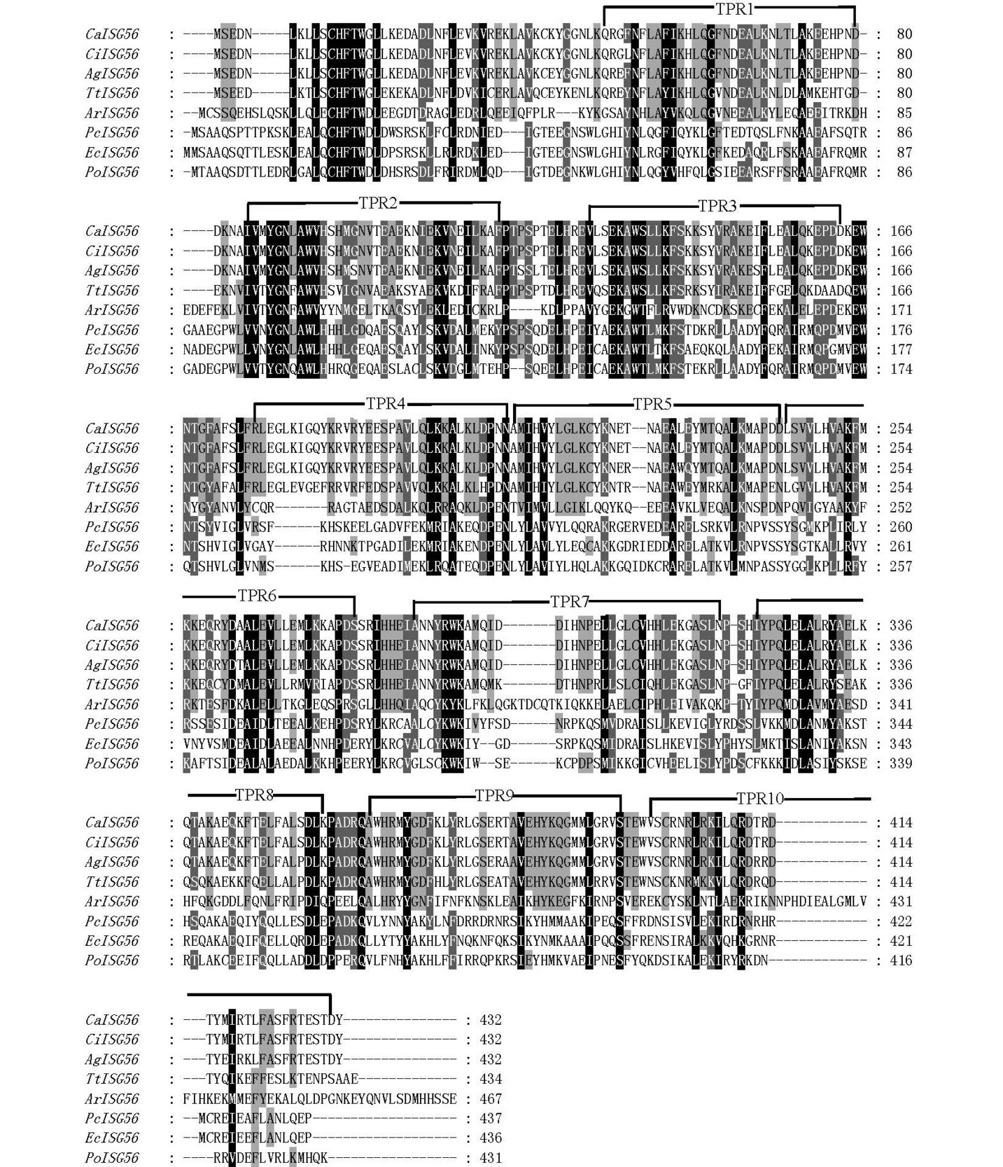 56蛋1白_20220925000829