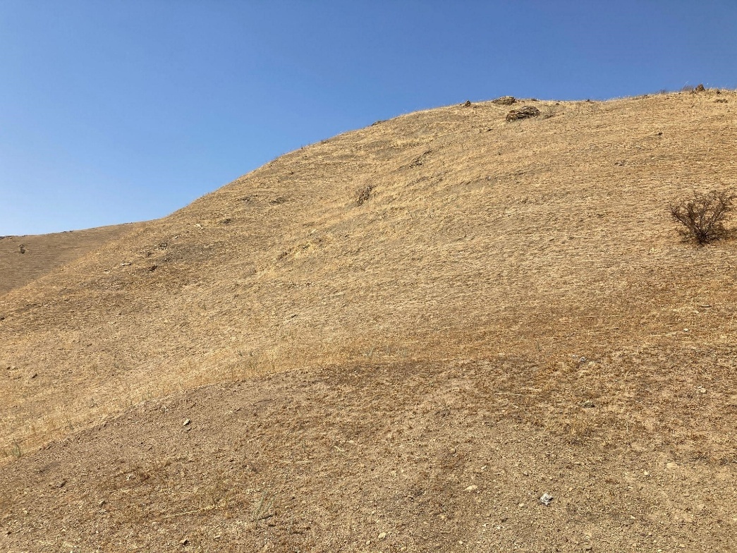 A hill that has been heavily grazed.