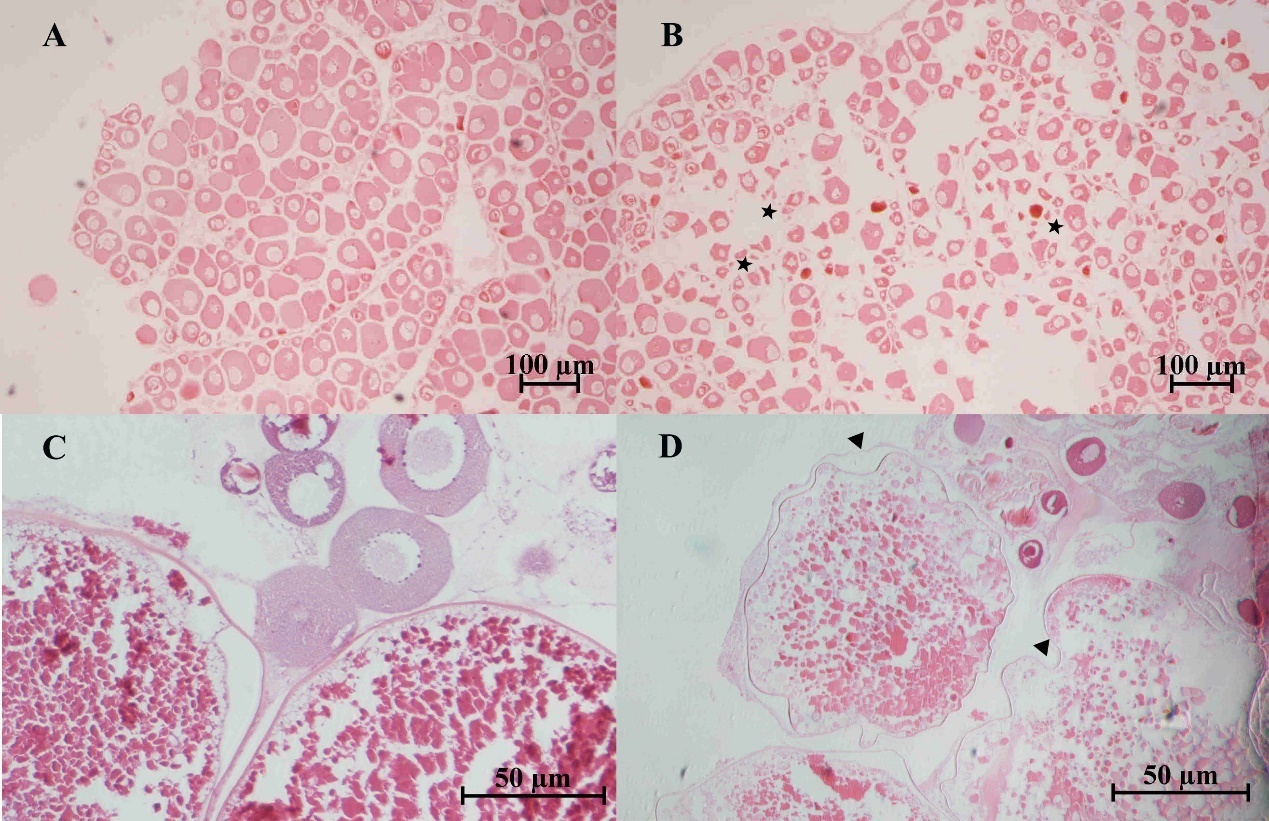 Identification and pathogenicity of Aeromonas veronii isolated from ...