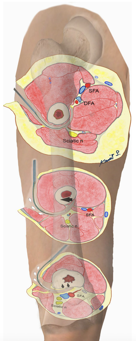 A diagram of a human body Description automatically generated