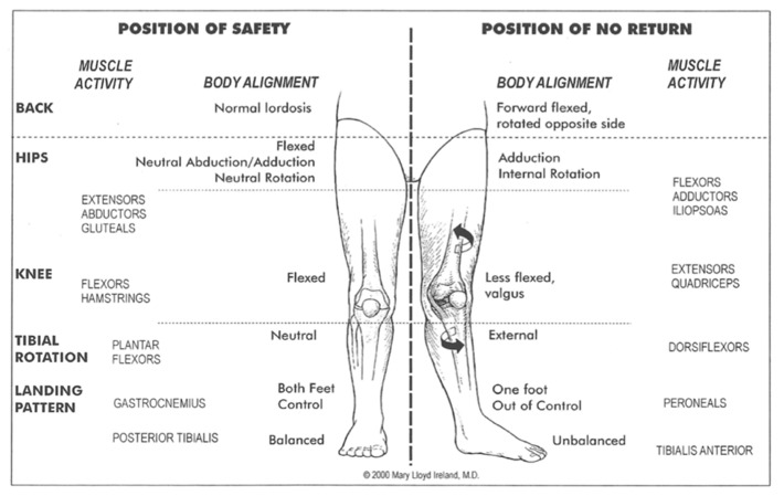 A diagram of the legs and the legs of the legs AI-generated content may be incorrect.