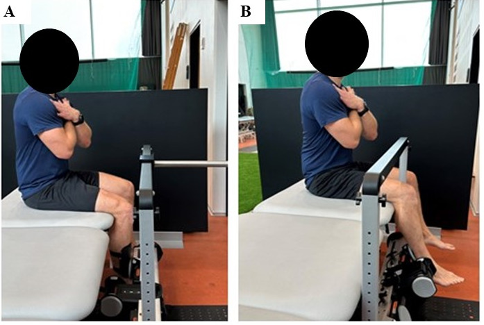 Validity, Agreement and Reliability of the ForceFrame Dynamometer in ...