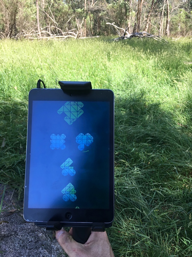 A hand holds a tablet mounted on a black monopod in a clearing of tall grass, with bushland and a fallen branch behind. The tablet screen shows the Epiphyte game: several clusters of faceted, crystalline blue and green geometric shapes against a dark background.