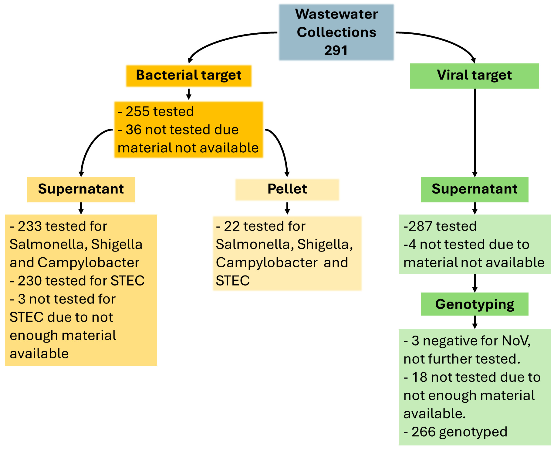 Number of wastewater samples collected, tested and reason for not testing for each pathogen is shown. Sample fraction used in each workflow is also shown.