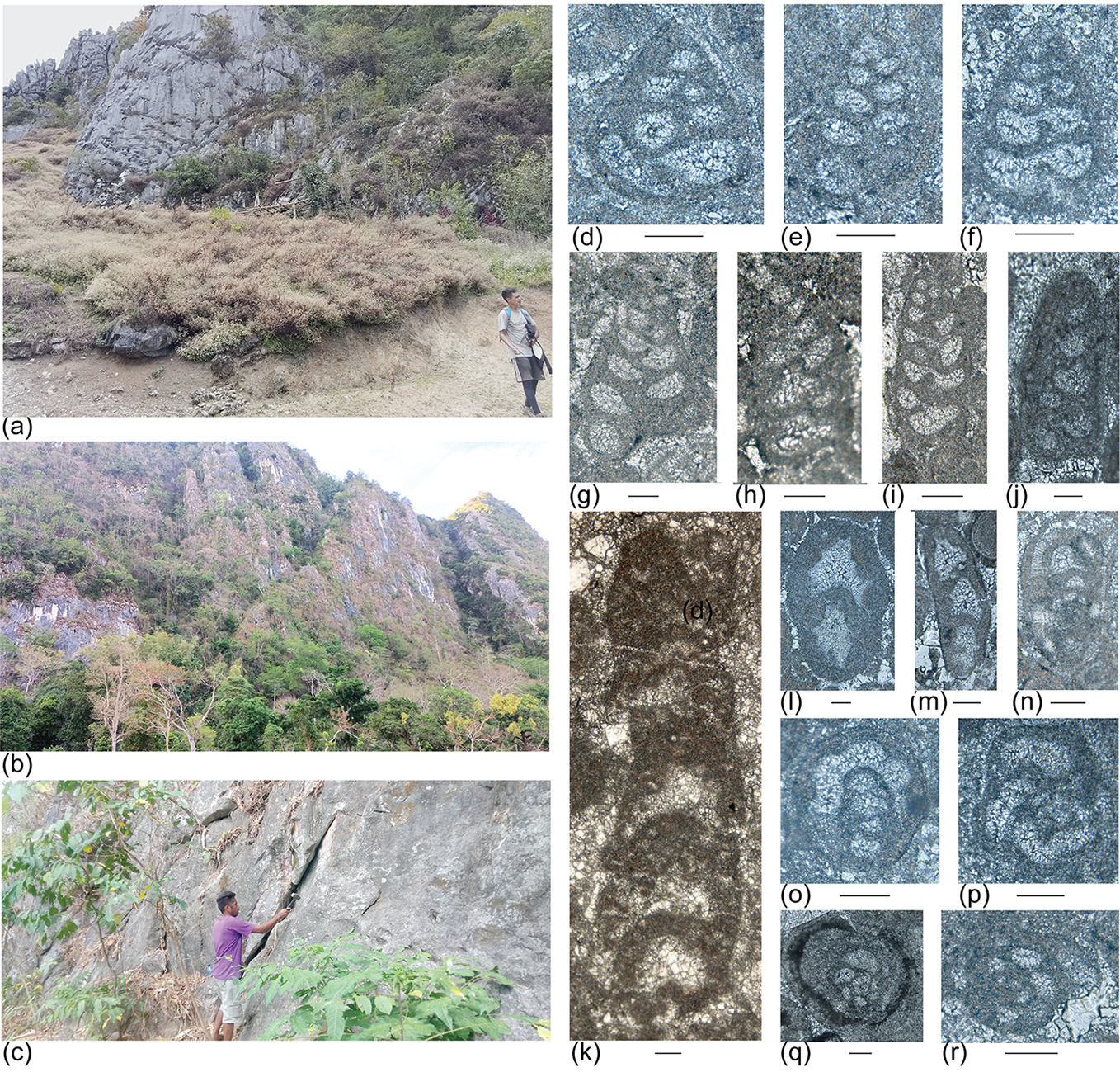 Fig. 2