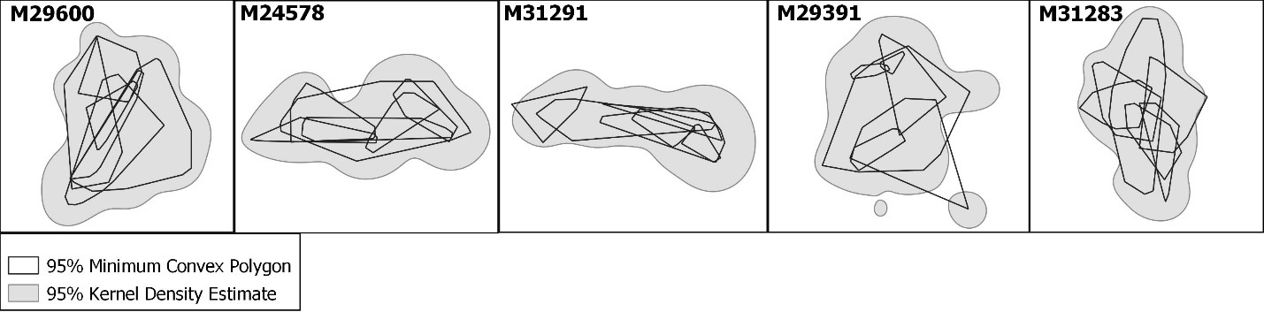 Fig. S2