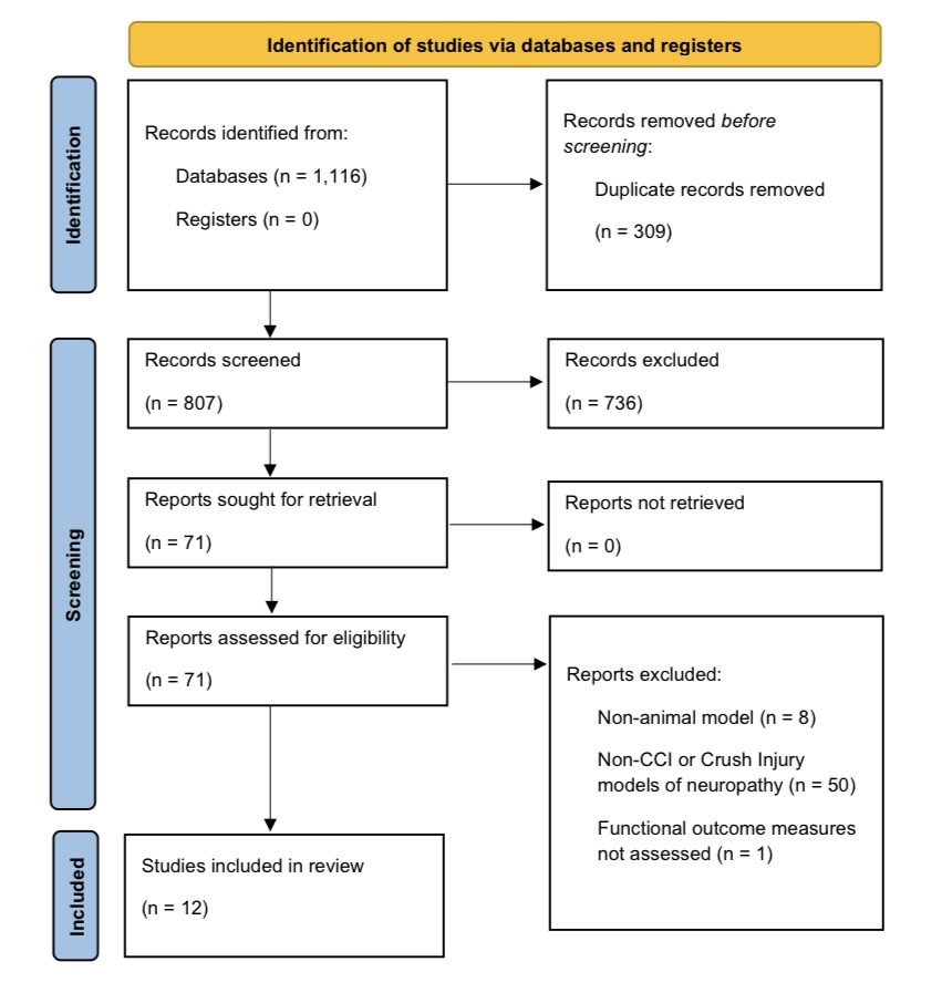 Supplementary Figure 1
