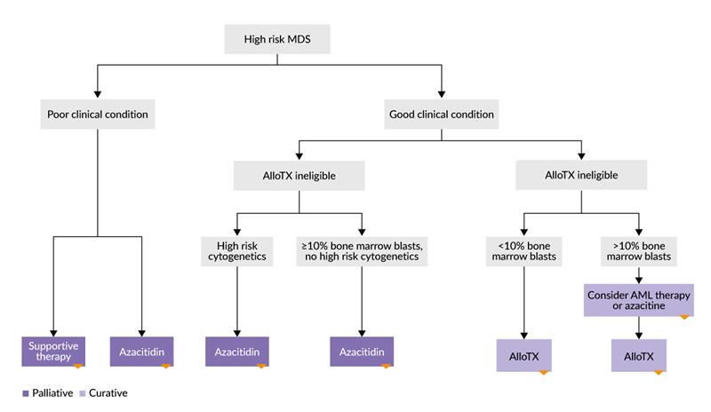 Advances in the Treatment of Higher-Risk MDS: Current Strategies and Emerging Therapies