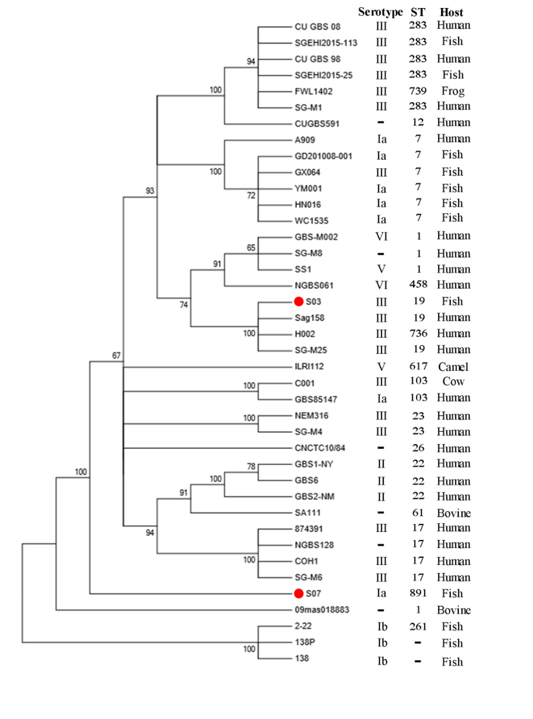 Figure 4