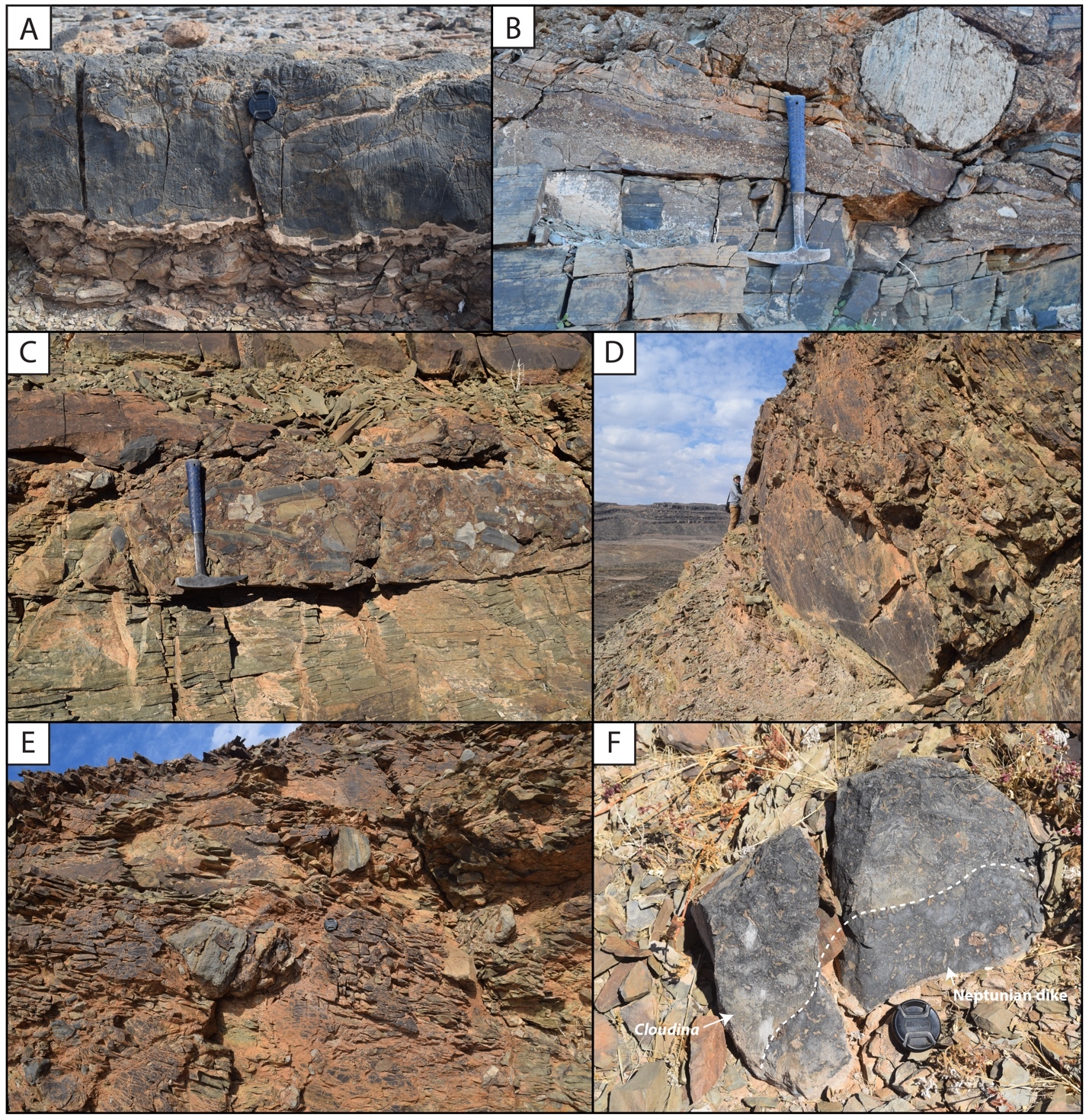 A collage of different rocks AI-generated content may be incorrect.
