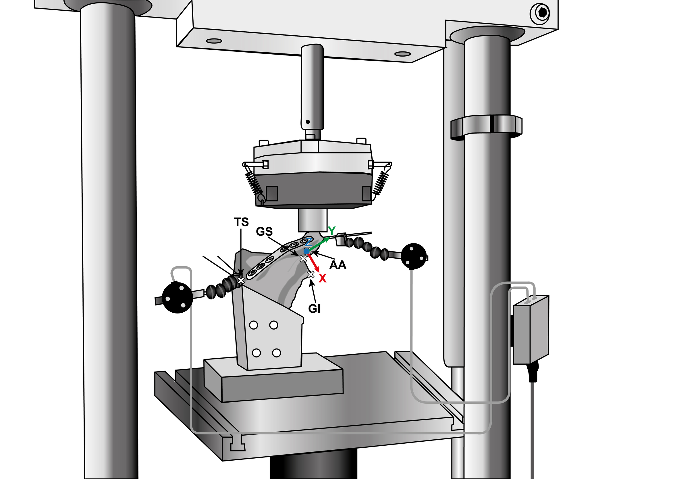 Fig. 3