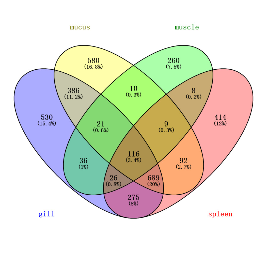四种蛋白样品韦恩图