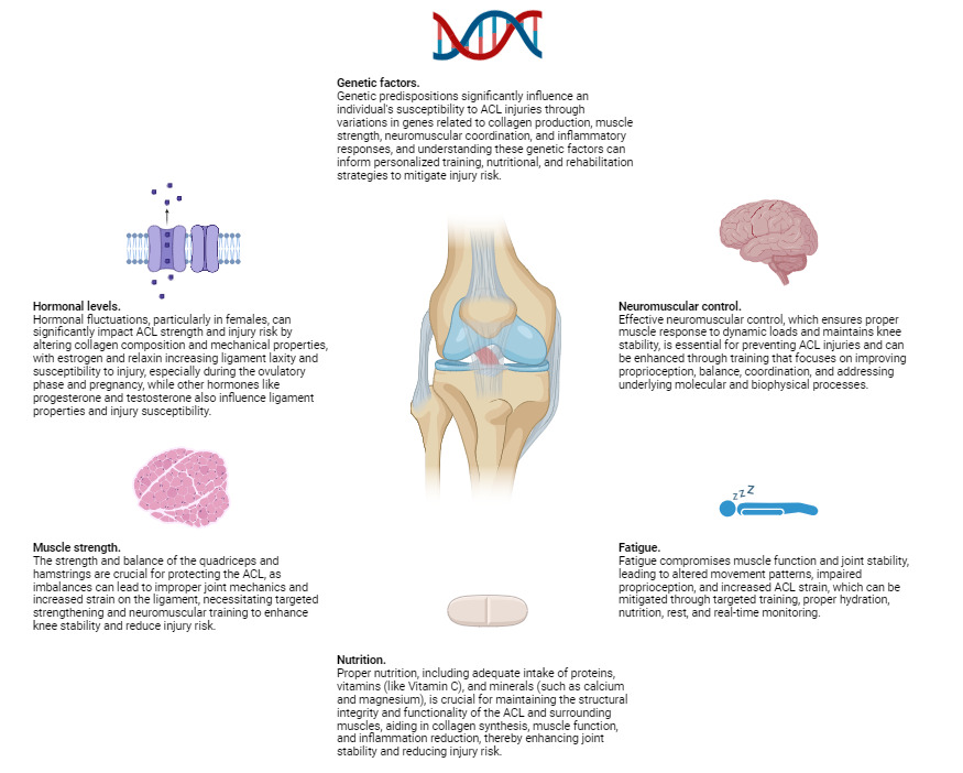 Biophysics of ACL Injuries | Published in Orthopedic Reviews