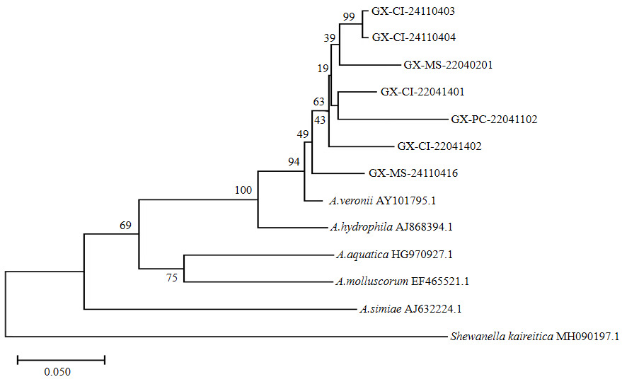 Figure4