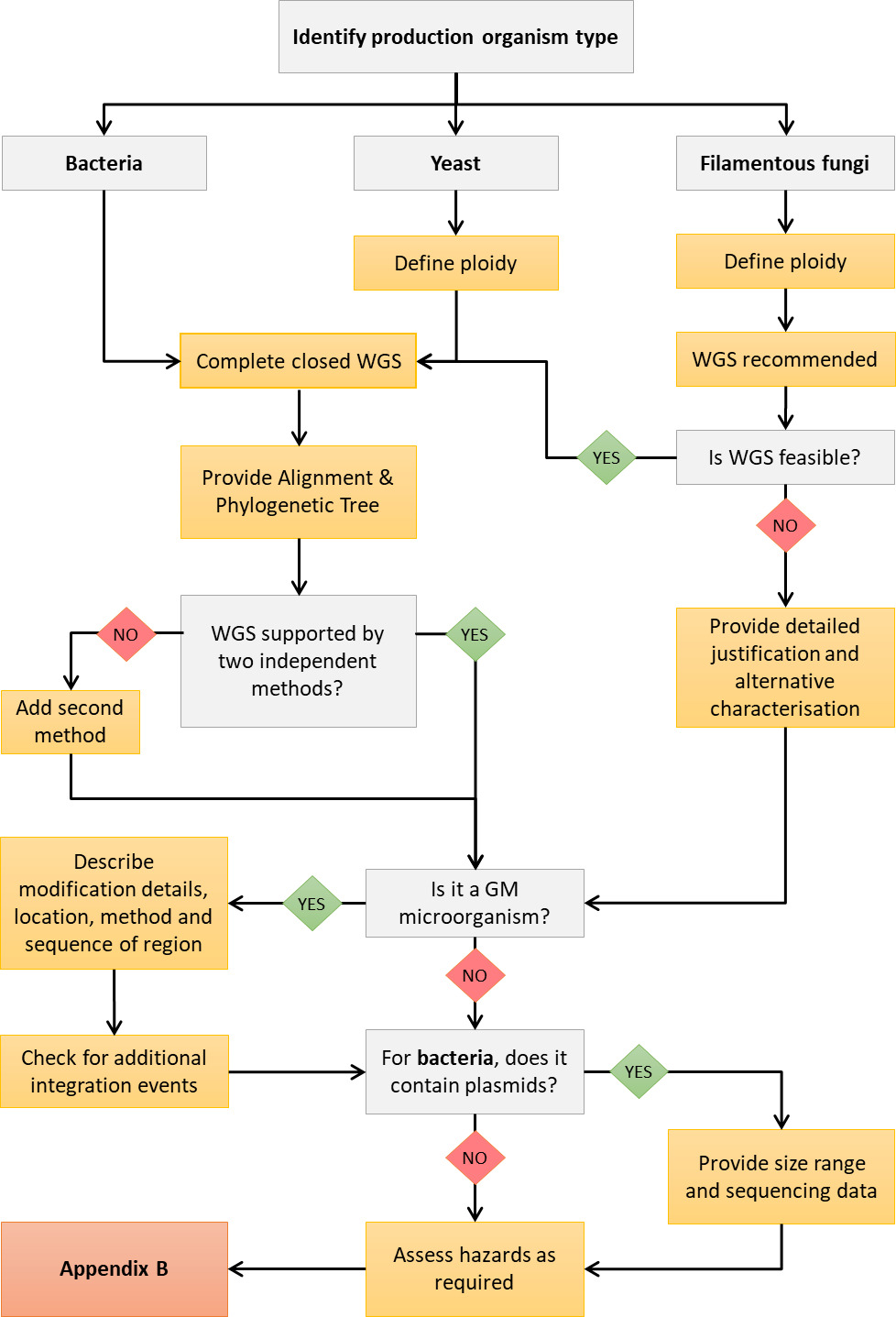 Flowchart illustrating decision-making process for identifying production organism type, divided into bacteria, yeast, and filamentous fungi categories. It includes steps like defining ploidy, completing whole genome sequencing (WGS), assessing feasibility, checking for plasmids, and evaluating genetically modified (GM) status, with color-coded decision nodes and action boxes guiding through methods and data requirements.