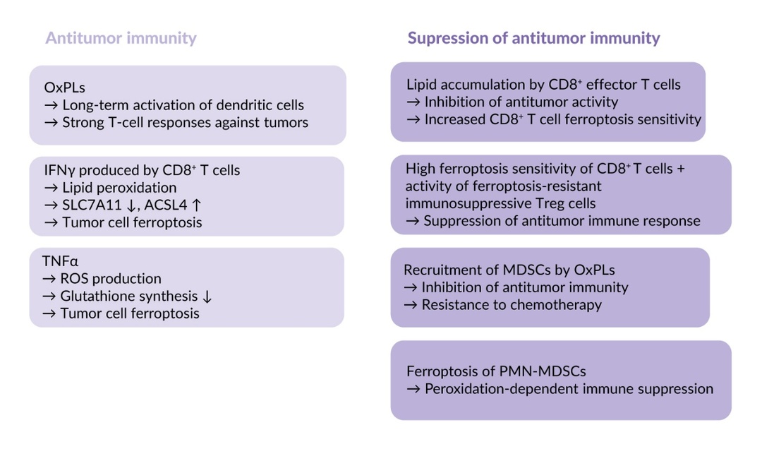 biological significance of phospholipid hydroperoxide glutathione peroxidase - an overview Lipid Metabolism and Ferroptosis