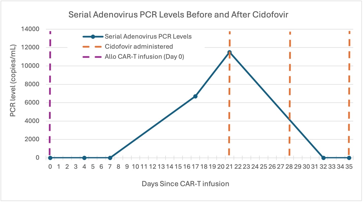 A graph showing the number of patients with chronic diseases AI-generated content may be incorrect.