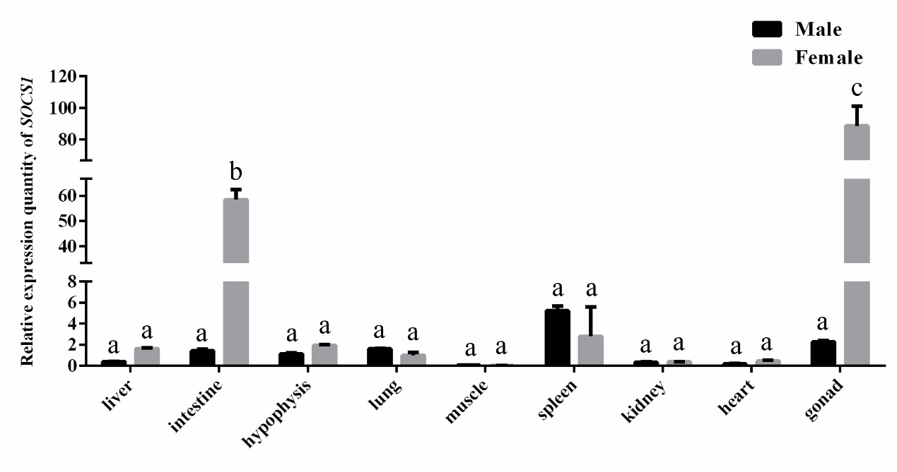 图表, 瀑布图 AI 生成的内容可能不正确。