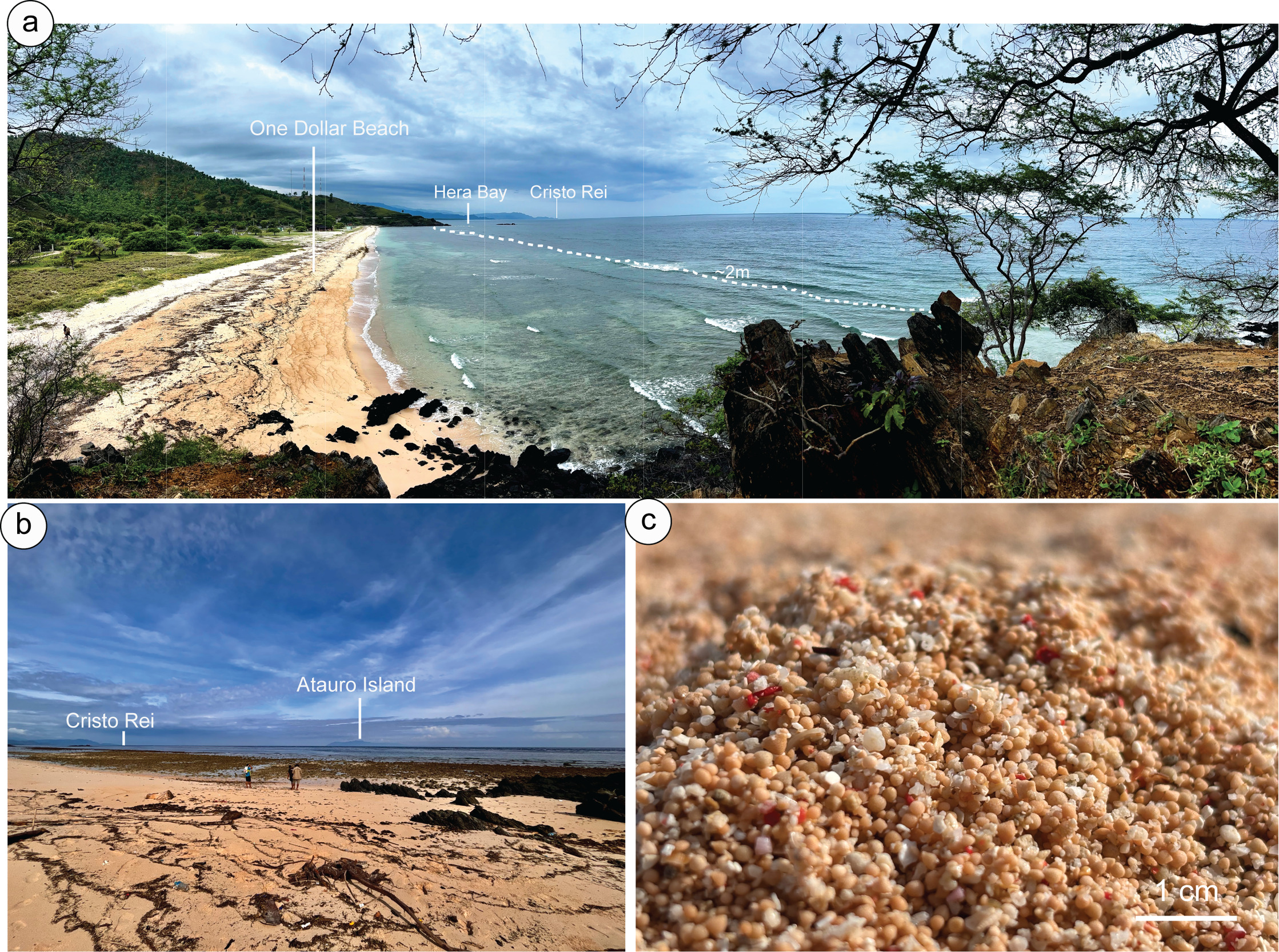 A collage of different types of beach Description automatically generated