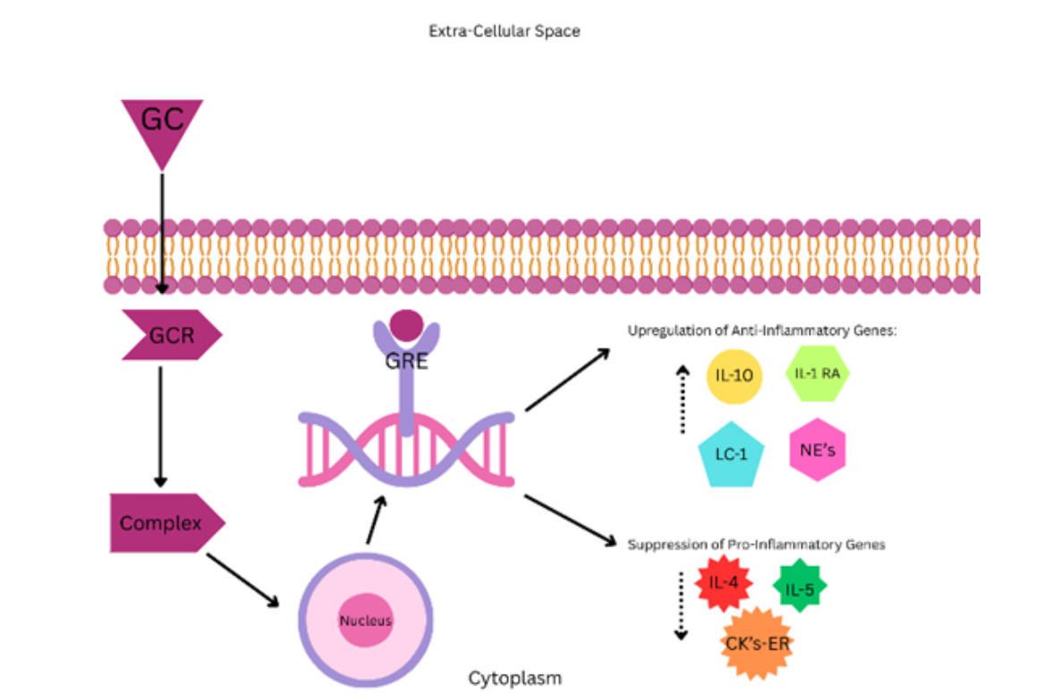 A diagram of a cell block AI-generated content may be incorrect.