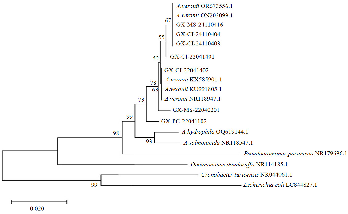 Figure3