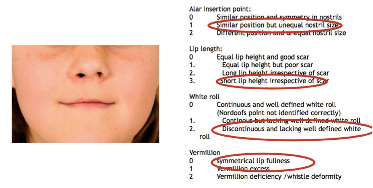 Fig 4