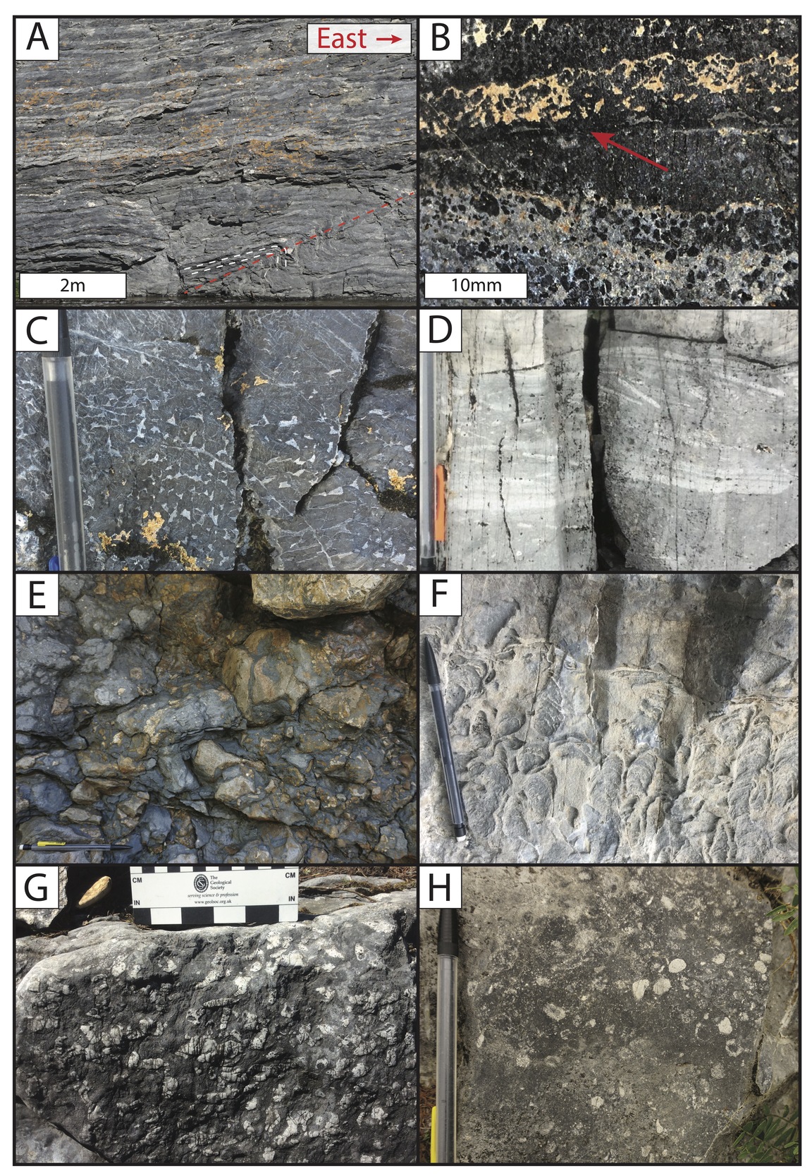 A collage of different types of rocks Description automatically generated