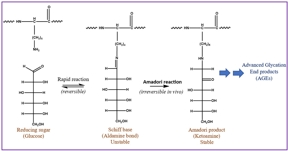 A diagram of different types of electrical components AI-generated content may be incorrect.