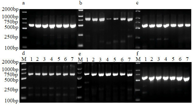 figure6
