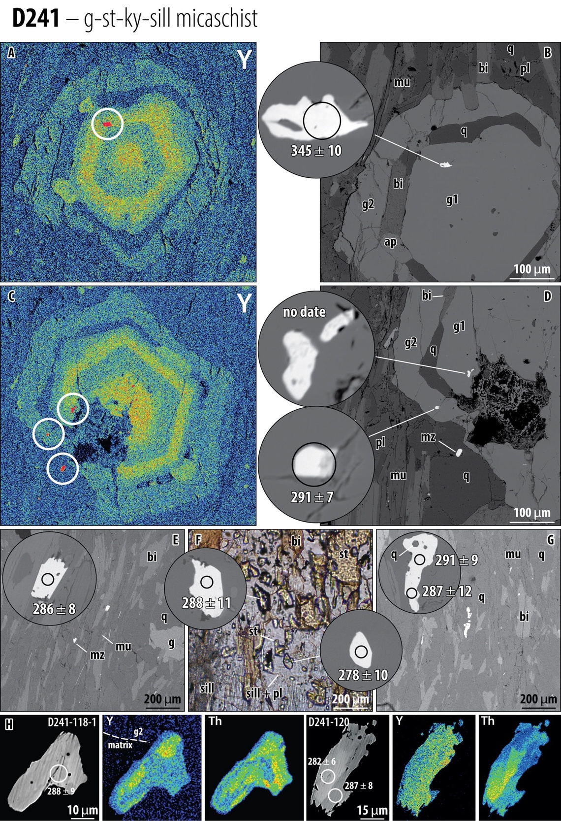 A collage of images of a cell AI-generated content may be incorrect.