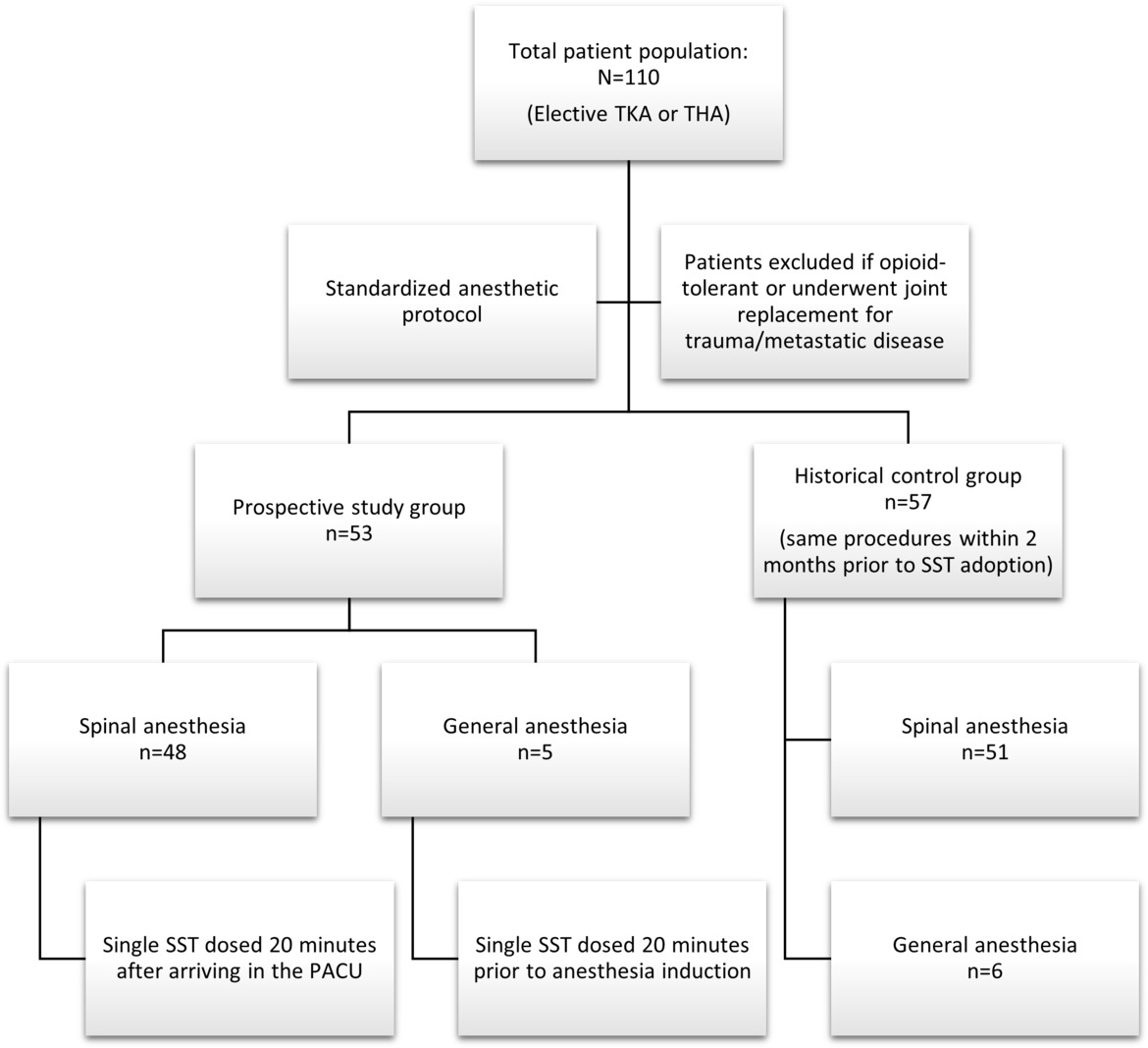 Peritoneal Surgery   医学書 Reimplantation and Reinitiation of Peritoneal Dialysis after
