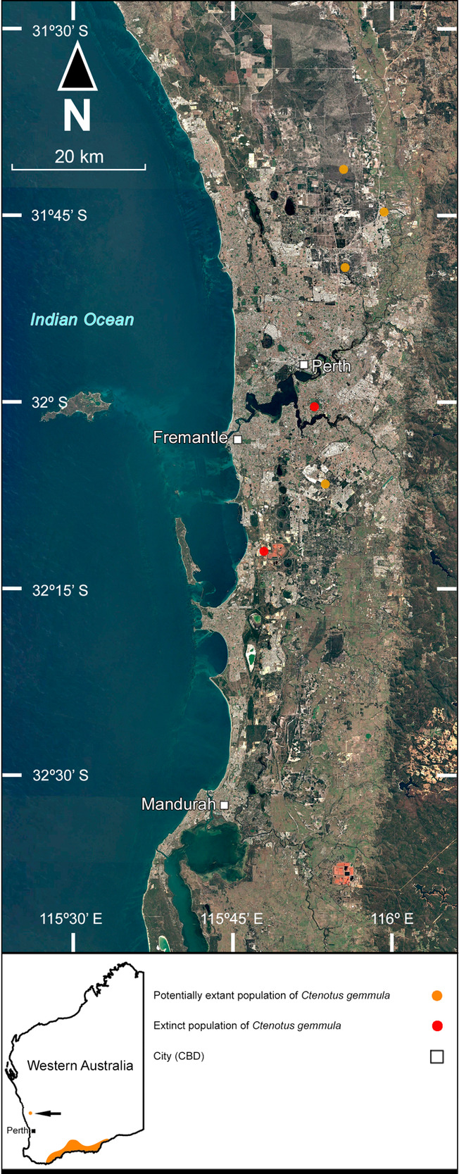 The Distributions of Six Cryptic Reptile Species in the Perth Region ...