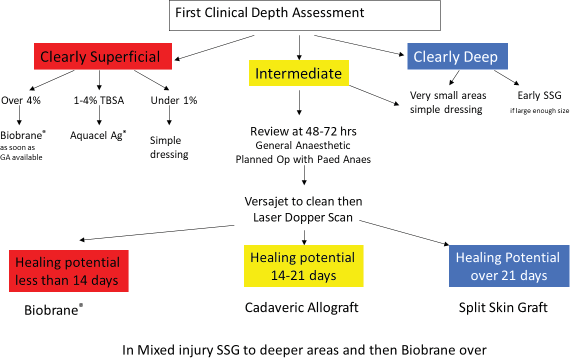 Strategic management of acute burn: implications for long-term
