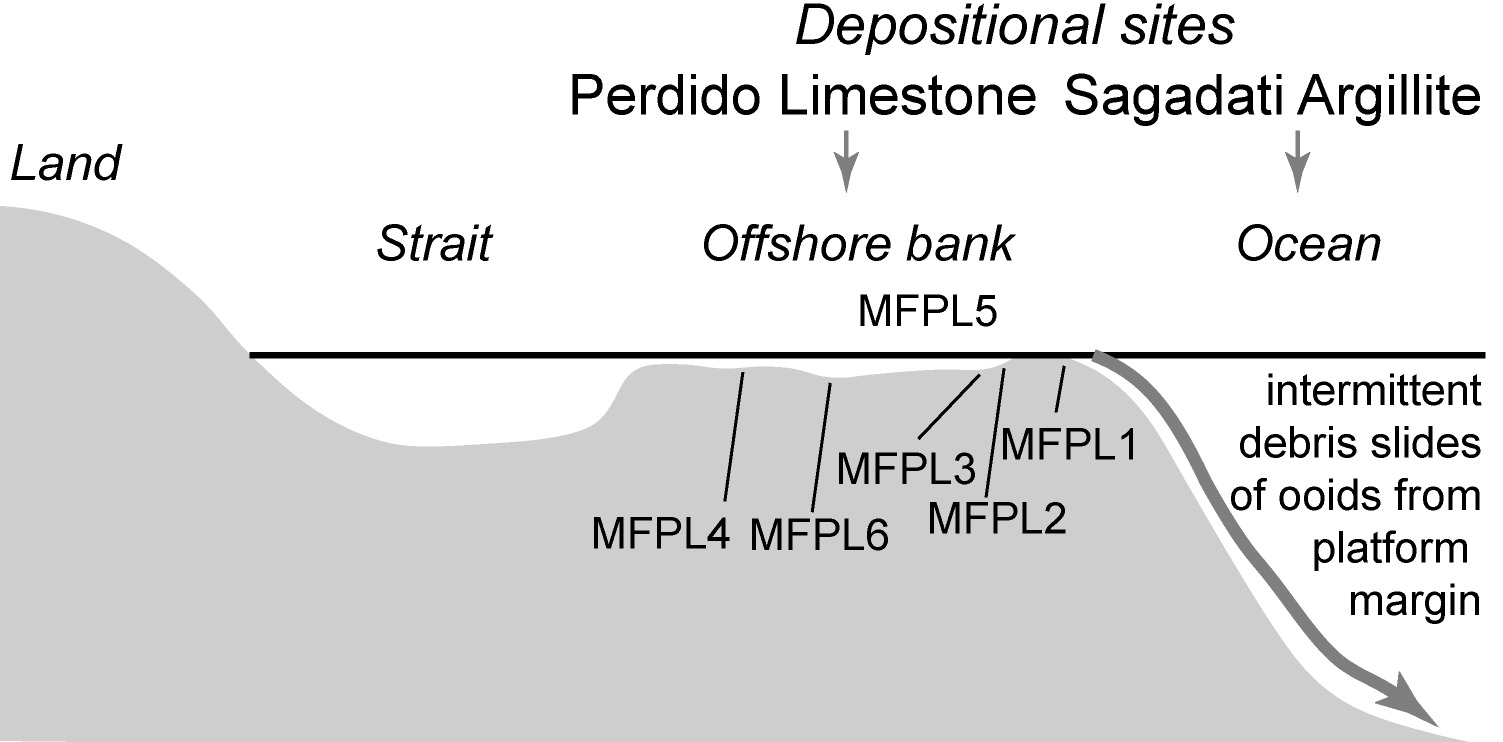 Fig. 4