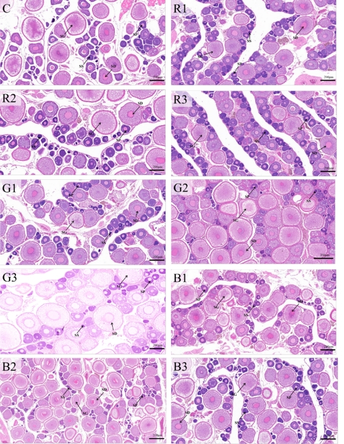 Fig.1