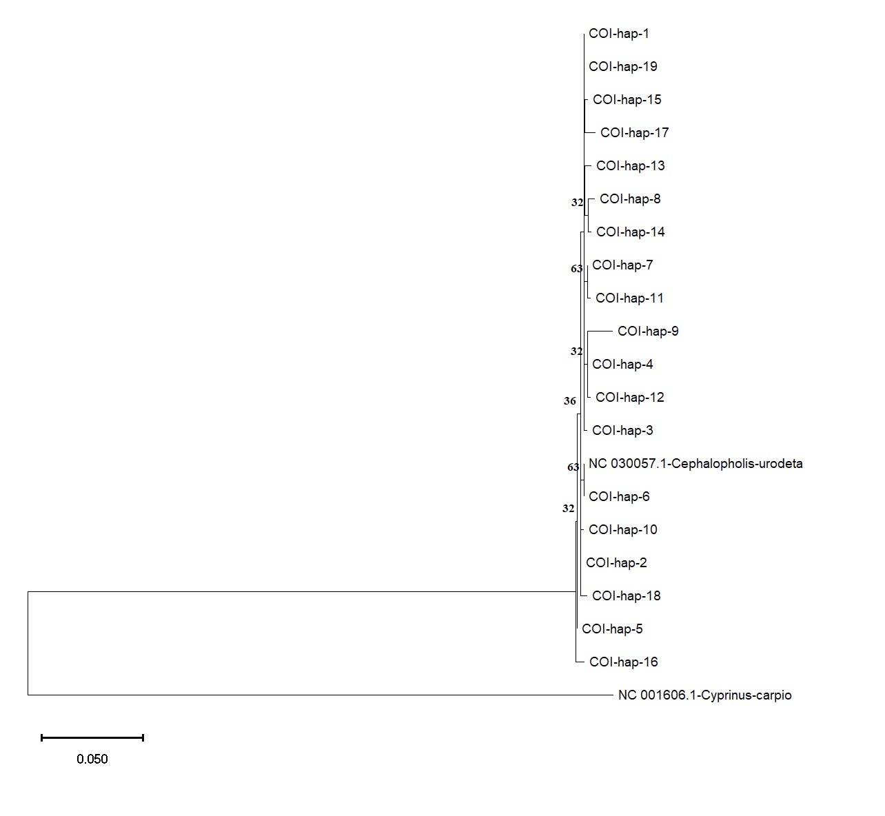 A graph of a number of co2 Description automatically generated