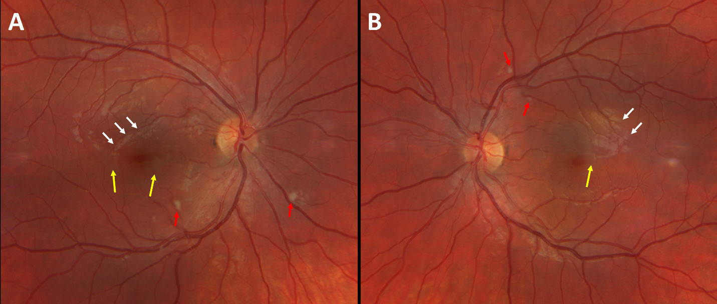 A picture containing light, orange AI-generated content may be incorrect.