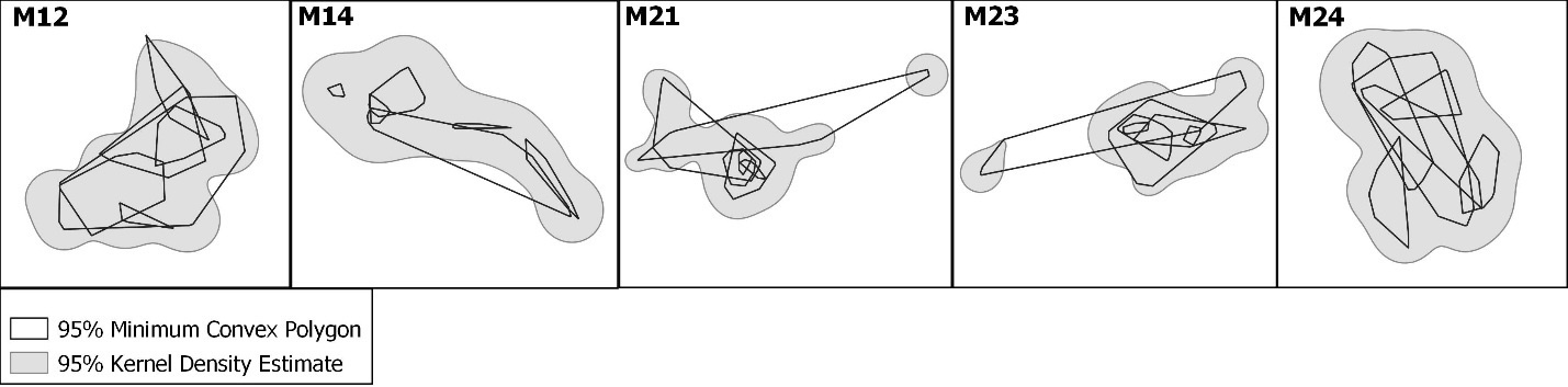 Fig. S1