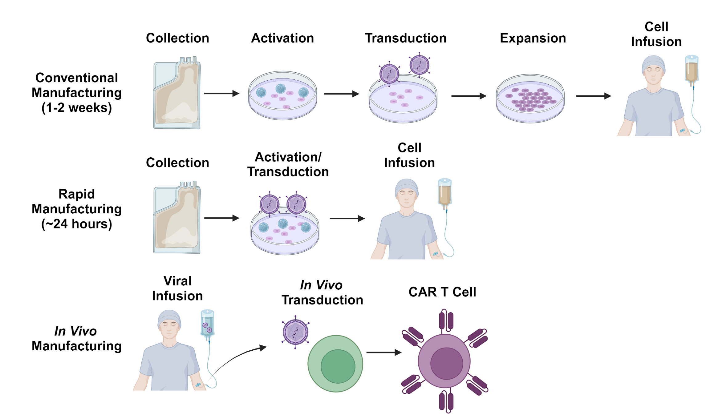 Allogeneic and other innovative chimeric antigen receptor