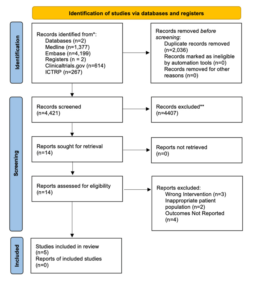 PRISMA-Flow-Diagram