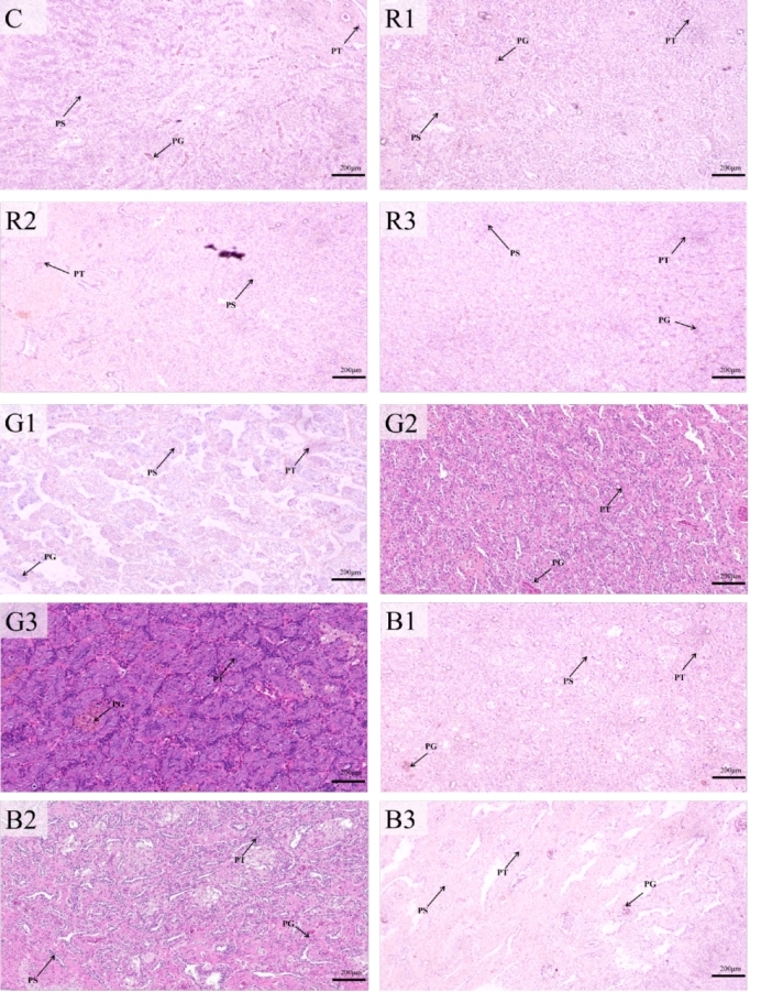 Fig.2