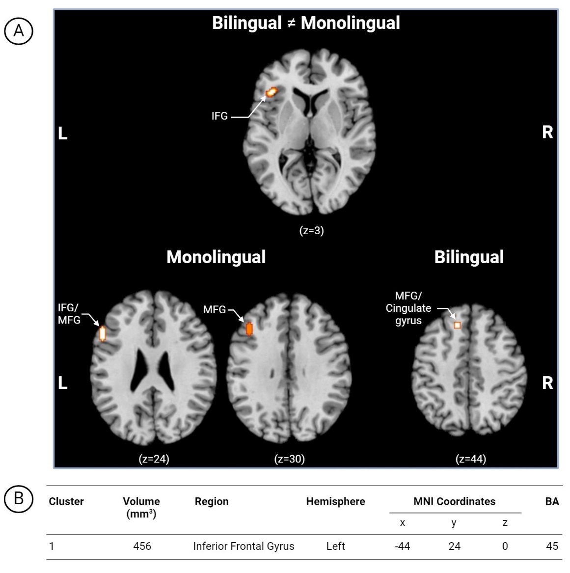 A screenshot of a computer screen Description automatically generated