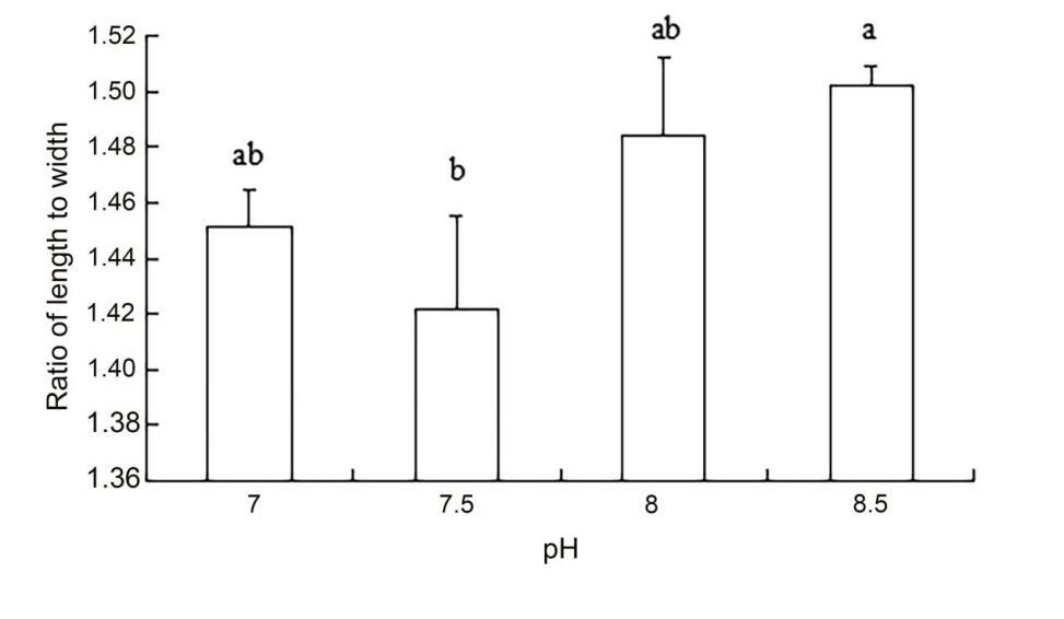 Figure 8