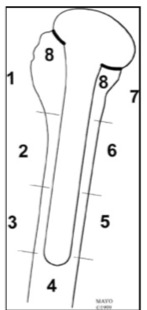 A screenshot of a cell phone Description automatically generated