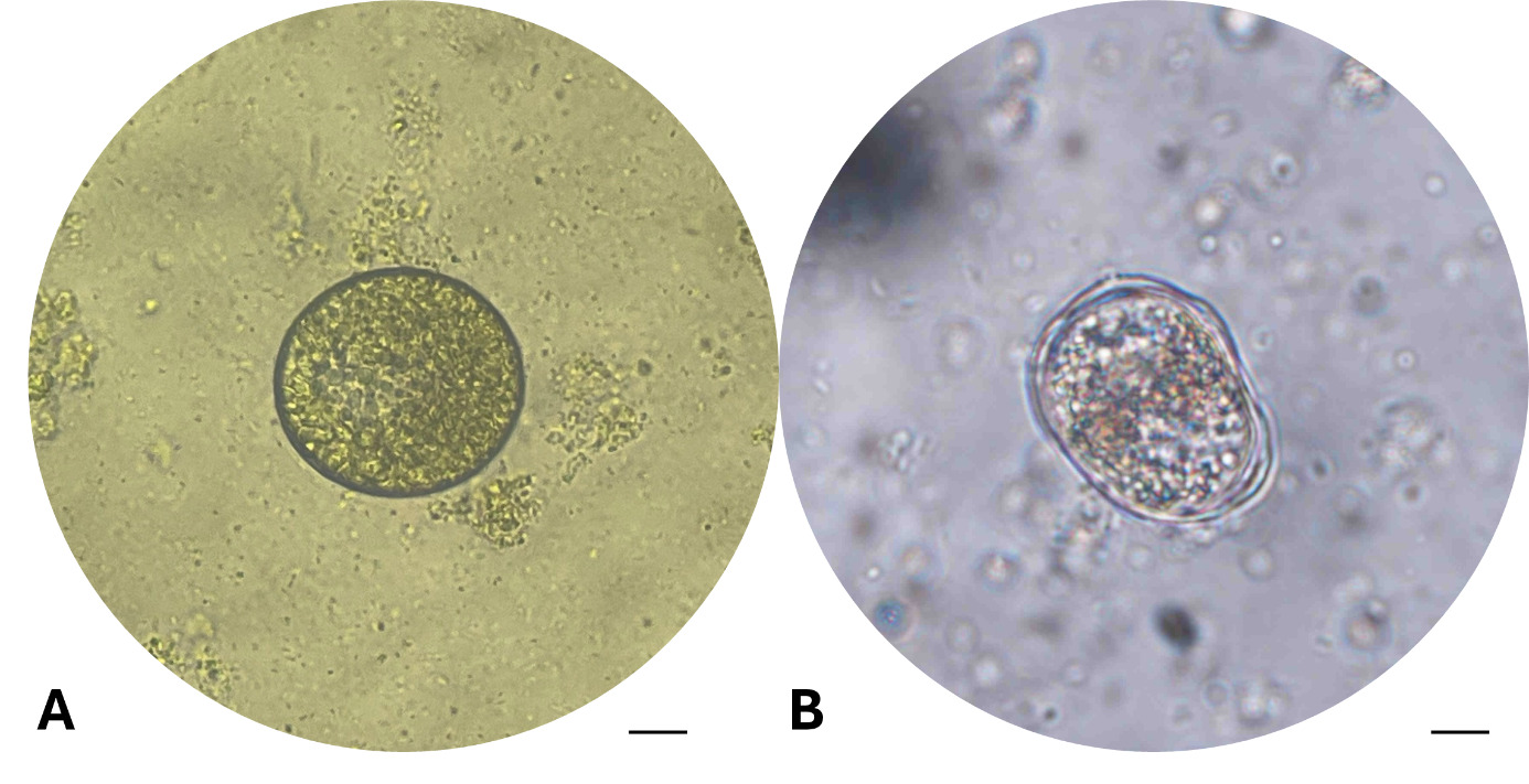A close-up of a microscope AI-generated content may be incorrect.