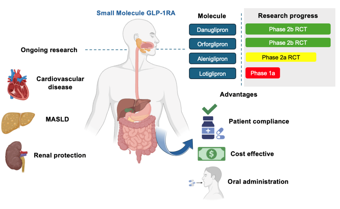 aafq glp 1 reviews Current Insights, Advantages and Challenges of Small Molecule Glucagon-like  Peptide 1 Receptor Agonists: A Scoping Review