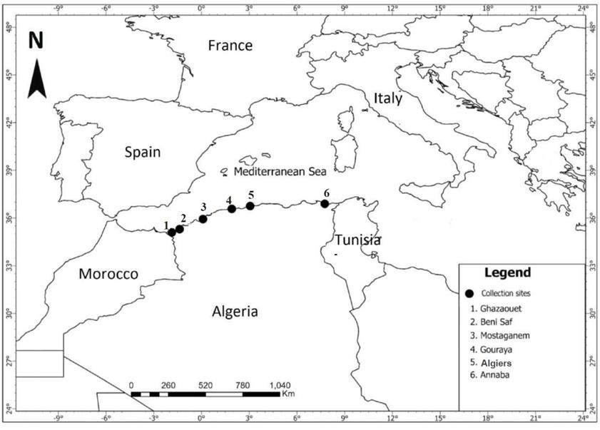 A map of the world with black text AI-generated content may be incorrect.