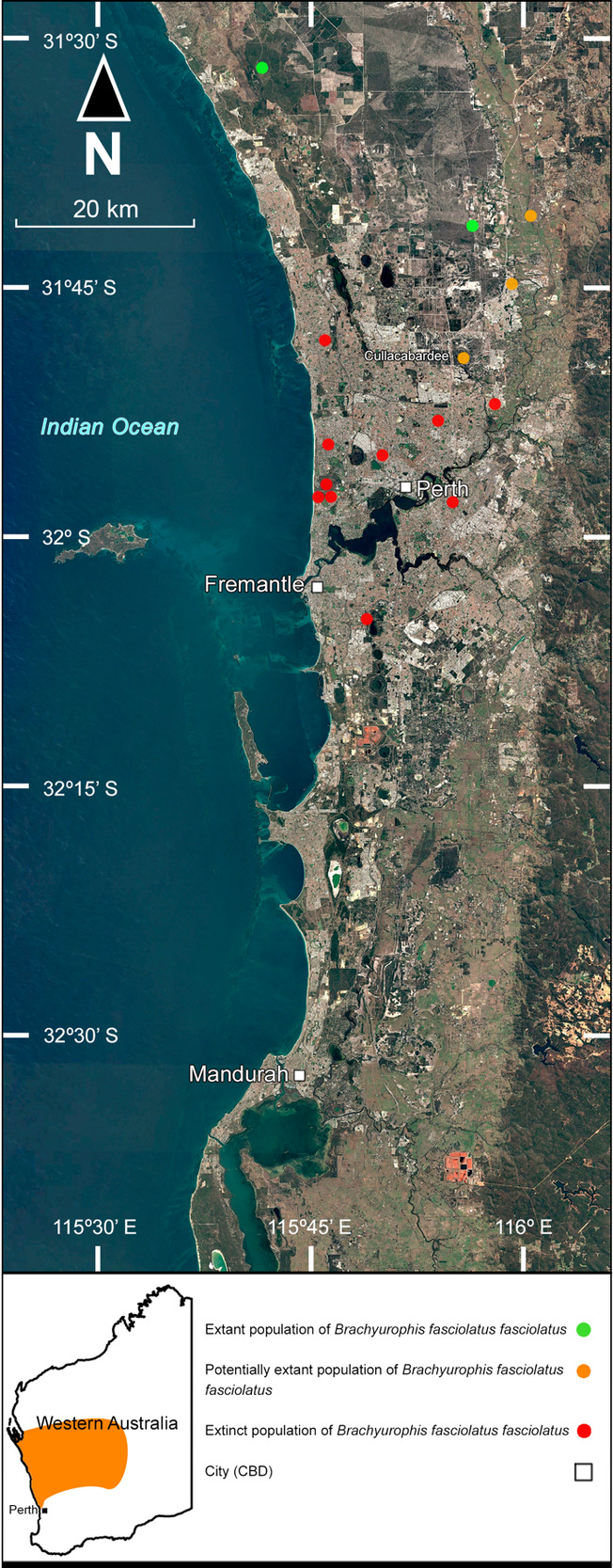 The Distributions of Six Cryptic Reptile Species in the Perth Region ...