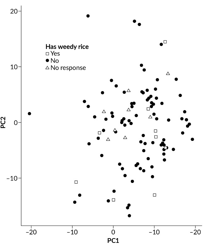A principal components analysis with PC2 on the y-axis and PC1 on the x-axis. The key is: "has weedy rice (white squares), has no weedy rice (black circles), and no response" (white triangles). 